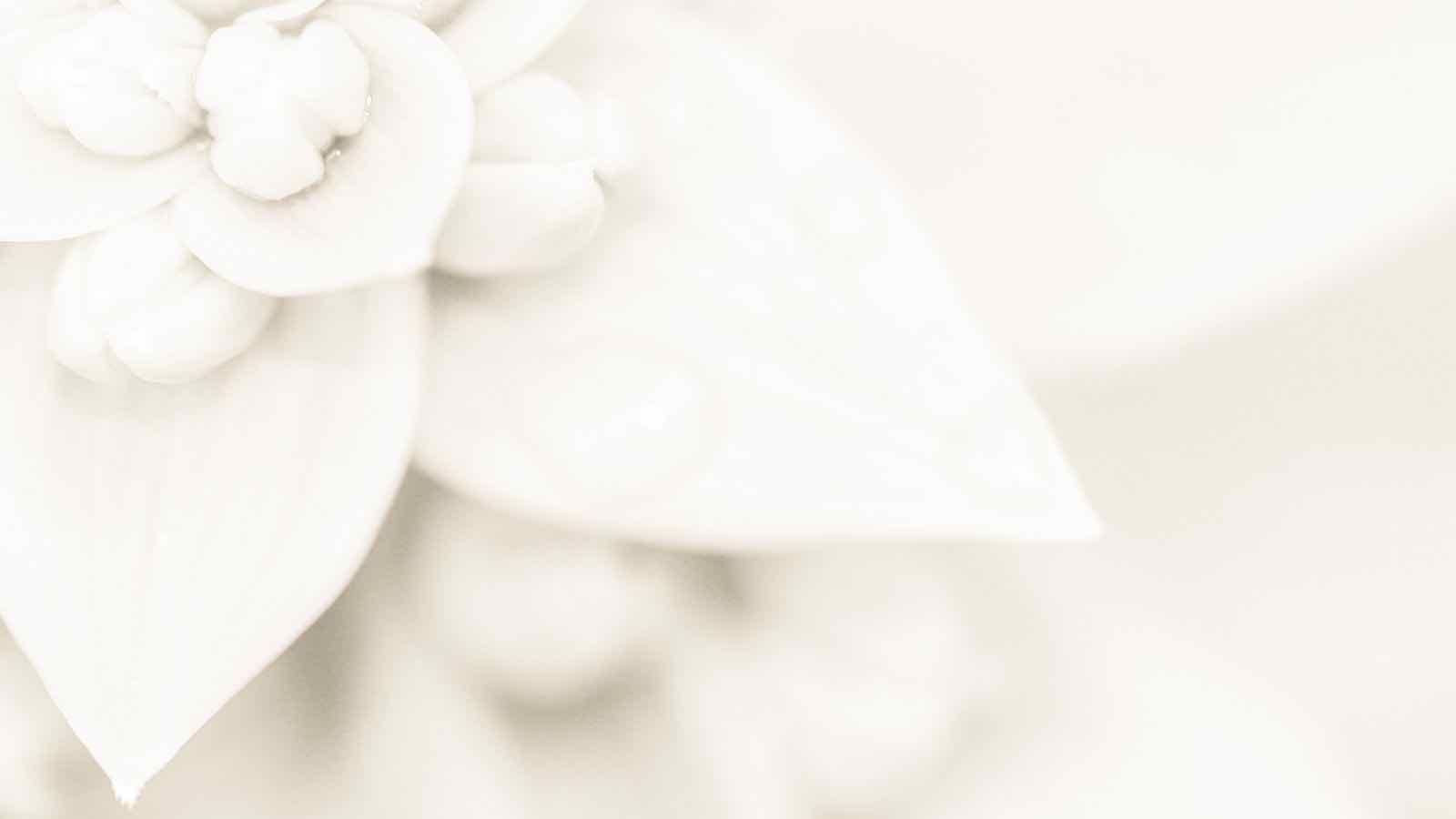 結婚式プロフィールの作り方